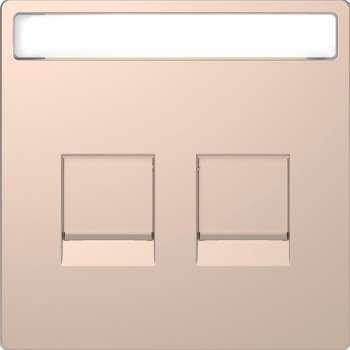 Inzetstuk RJ45 Tekstveld 2V - Metaal - Champagne Metallic - Systeem Design - Schneider Electric - MTN4564-6051