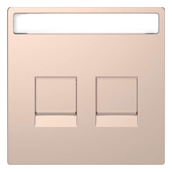 Inzetstuk RJ45 Tekstveld 2V - Metaal - Champagne Metallic - Systeem Design - Schneider Electric - MTN4564-6051