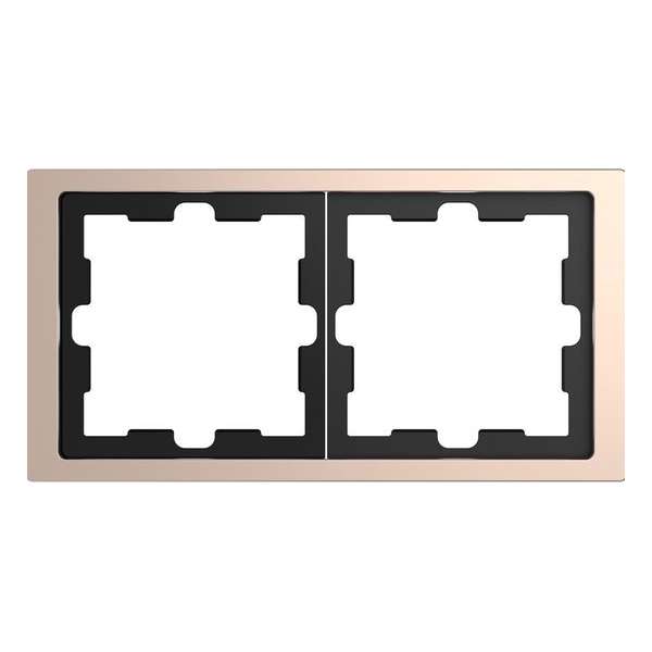 Afdekraam D-Life 2V - Metaal Champagne - Systeem Design - Schneider Electric - MTN4020-6551