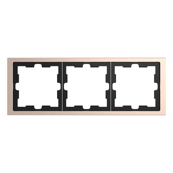 Afdekraam D-Life 3V - Metaal Champagne - Systeem Design - Schneider Electric - MTN4030-6551