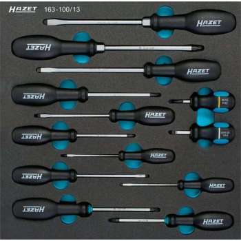 Hazet 163-100/13 13-delige Schroevendraaierset