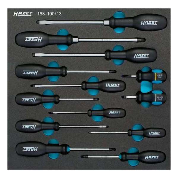 Hazet 163-100/13 13-delige Schroevendraaierset