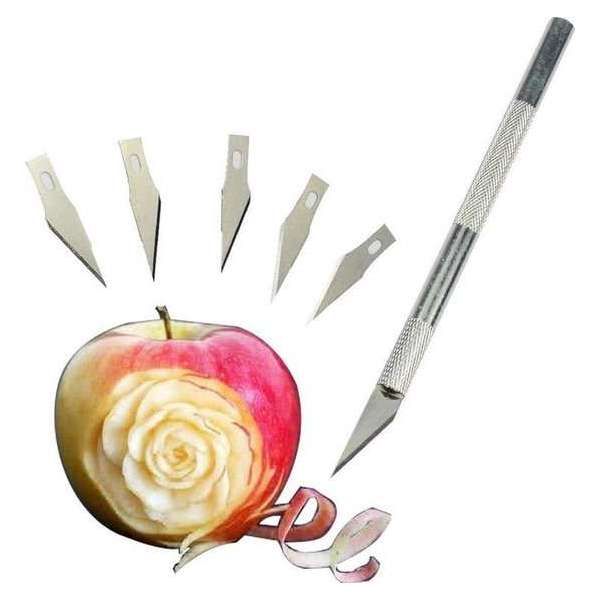 Winkrs - Precisie Hobby Penmes met 5 extra Mesjes - Scalpel Mes voor houtsnijwerk, fruit decoratie, leerbewerking etc.